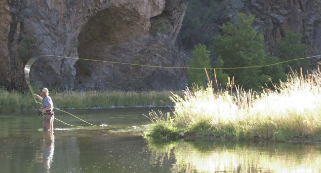 Fliegenfischen in den Rocky Mountains