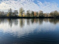 Gartenstadt Meerbusch: rheinisch-grün, offen für die Welt